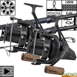 Ensemble Prologic C2 Element 13' 8K (les 2)